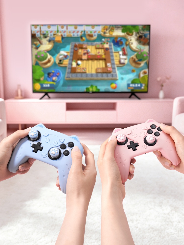 Оригинальный силиконовый защит – обзор и цена Gaming Accessories Japan