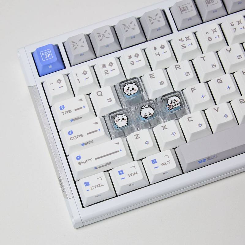 Набор из 4 прозрачных кастомны – обзор и цена Gaming Accessories For Room